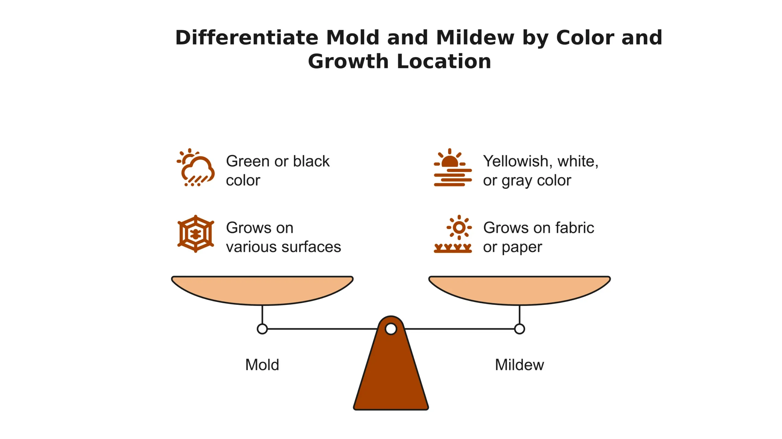 Differentiate Mold and Mildew by Color and Growth Location