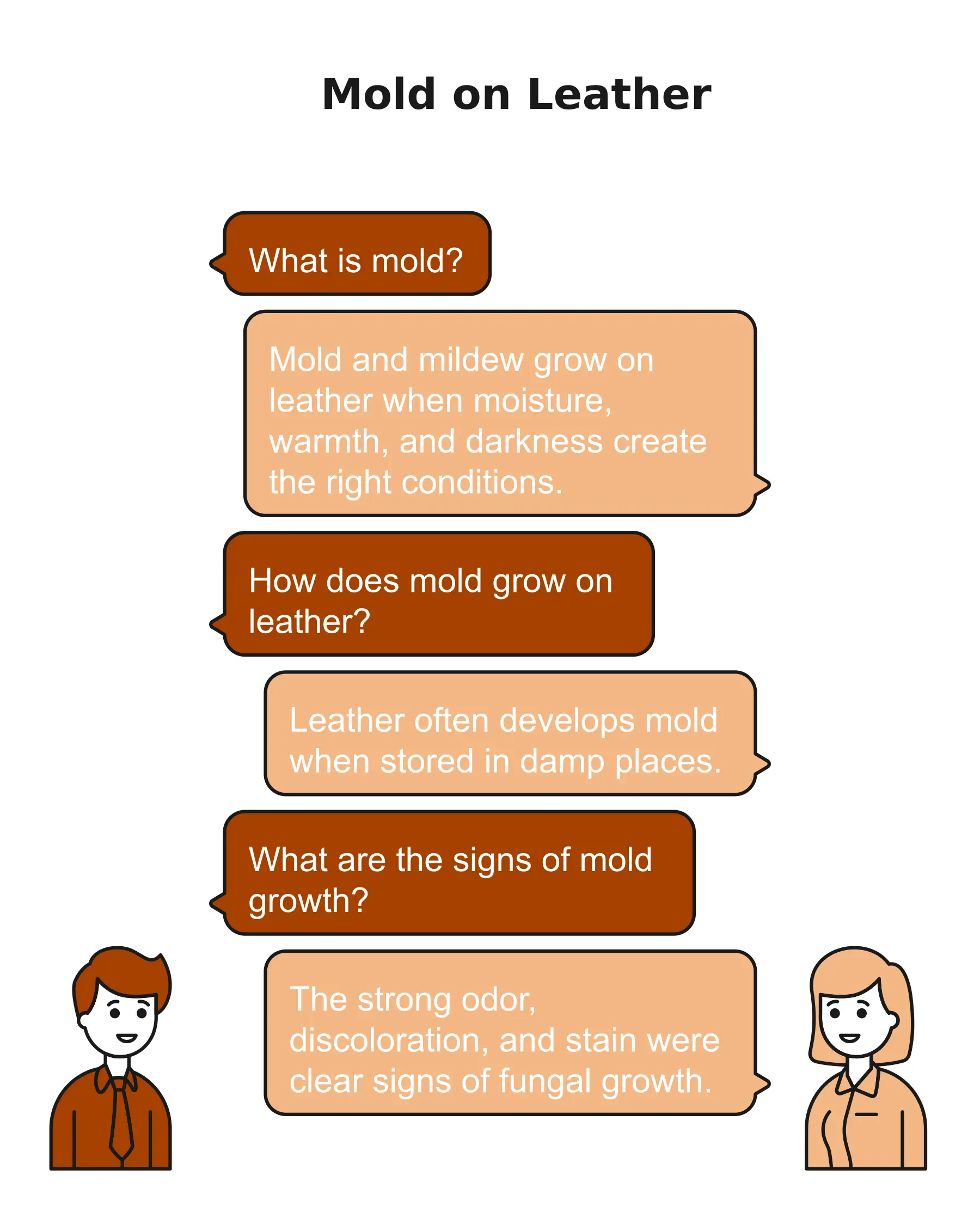explaining what is mold