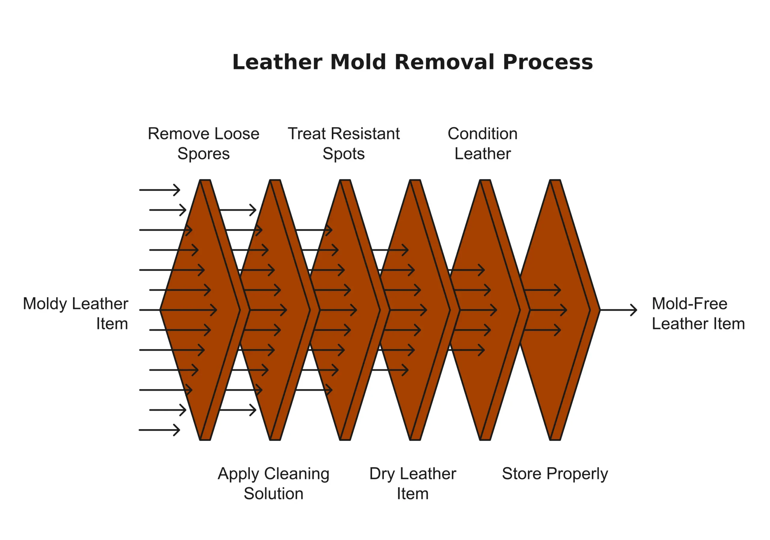 Steps to Remove Mold from Leather